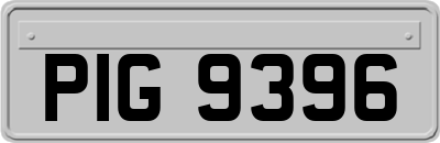 PIG9396