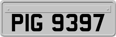 PIG9397