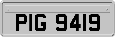 PIG9419