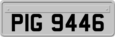 PIG9446