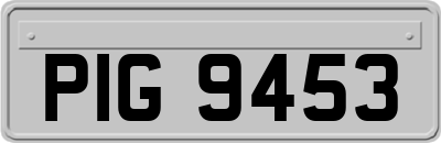 PIG9453