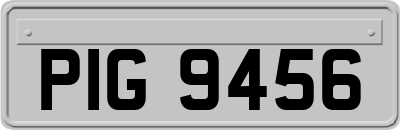 PIG9456