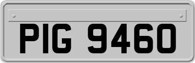 PIG9460