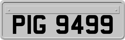 PIG9499