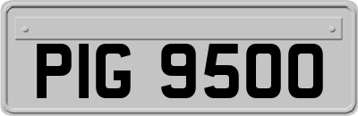 PIG9500