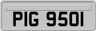 PIG9501