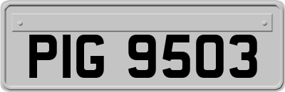 PIG9503