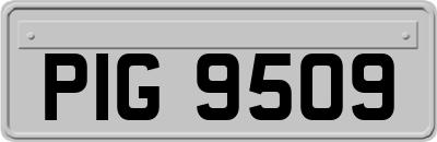 PIG9509