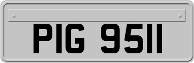 PIG9511