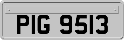 PIG9513