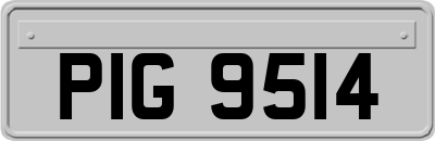 PIG9514