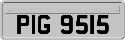 PIG9515