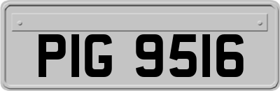 PIG9516