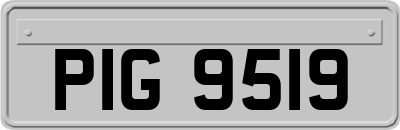 PIG9519