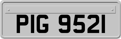 PIG9521