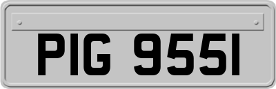 PIG9551