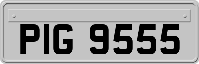 PIG9555