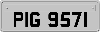 PIG9571