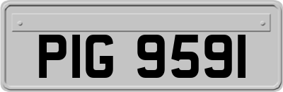 PIG9591