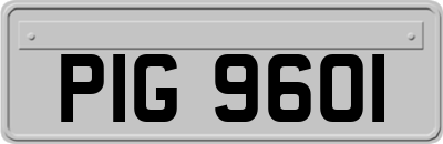 PIG9601