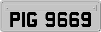 PIG9669