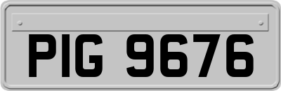 PIG9676