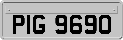 PIG9690