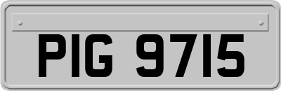 PIG9715