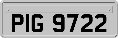 PIG9722