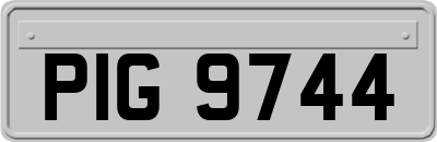 PIG9744