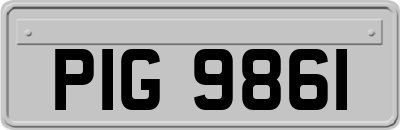 PIG9861