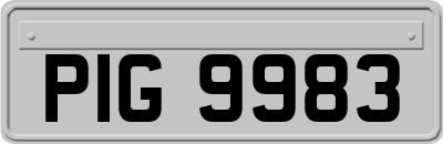 PIG9983