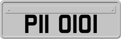 PII0101