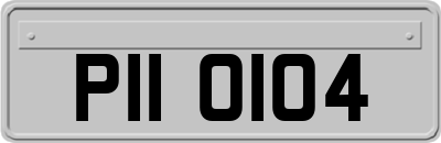 PII0104