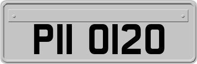 PII0120