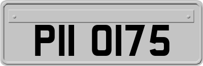 PII0175