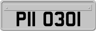 PII0301