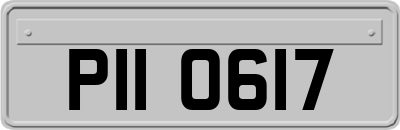 PII0617