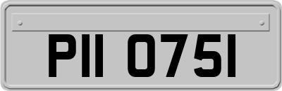 PII0751