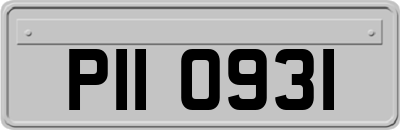 PII0931