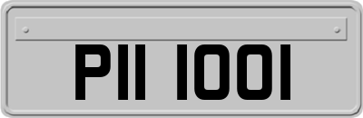 PII1001