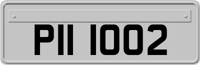 PII1002