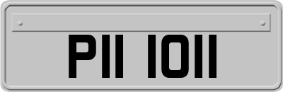 PII1011