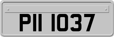 PII1037