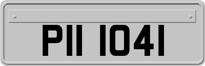 PII1041