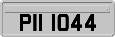 PII1044