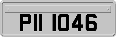 PII1046