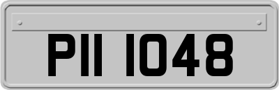 PII1048
