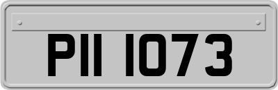 PII1073