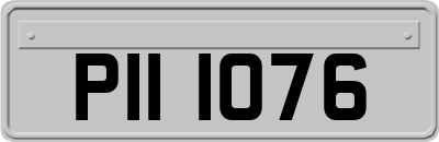 PII1076